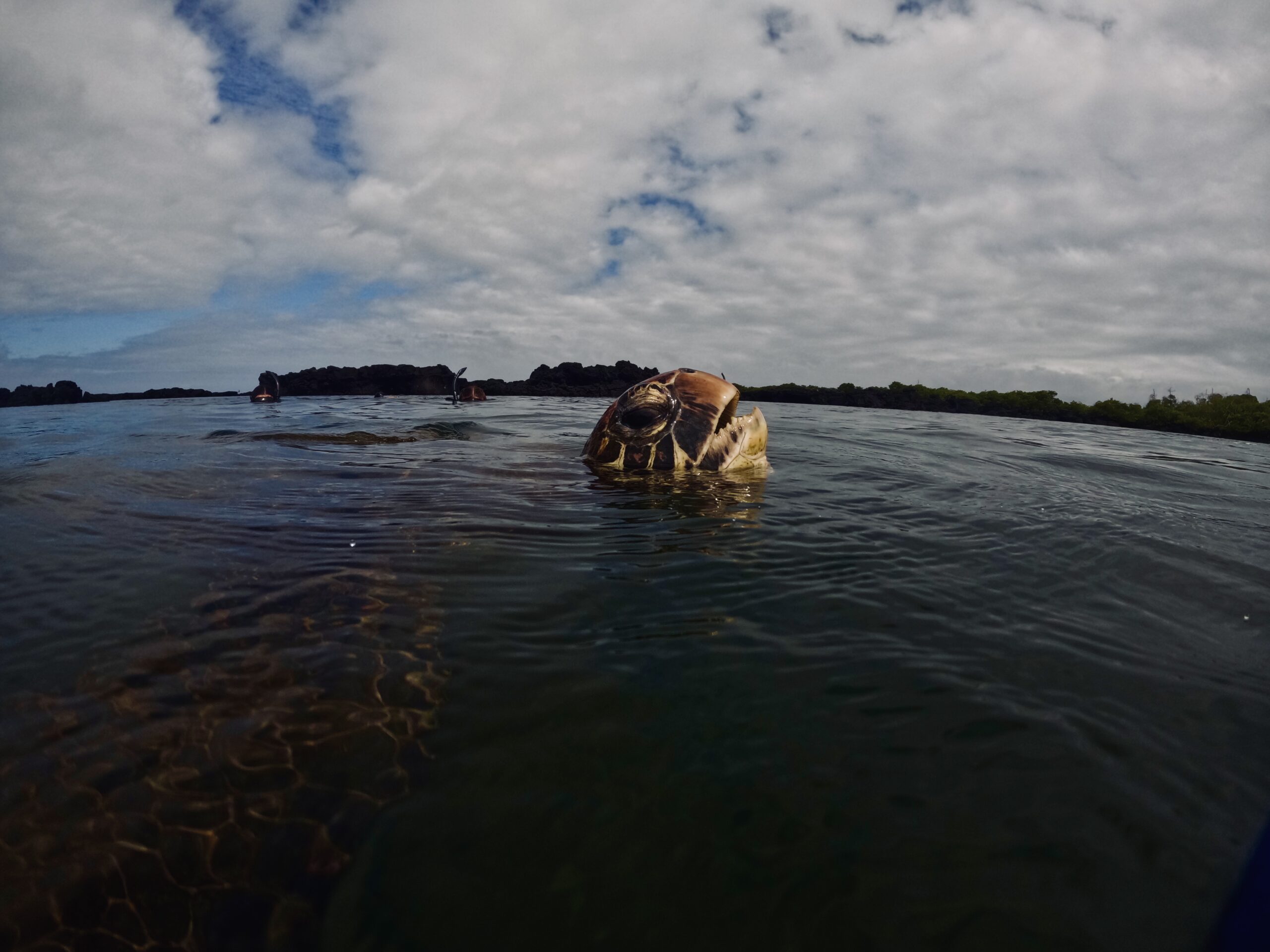 DCIM101GOPROGOPR8837.JPG